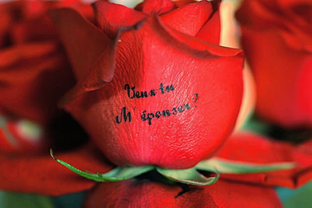 Veux-tu m'&eacute;pouser&nbsp;?