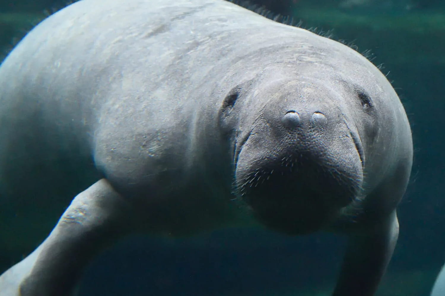 nightlife, Silent Zoo… Summer programming close to the animals nightlife, Silent Zoo… Summer programming close to the animals