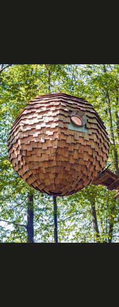 Cabanes Coucoo Grands Chenes