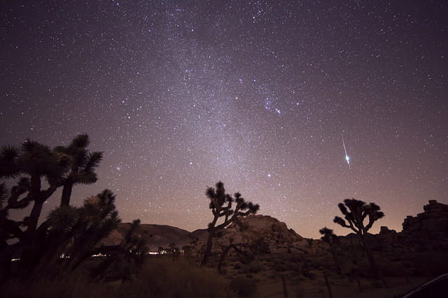 Pluie d'étoiles filantes dans le désert de Joshua Tree : les Taurides enflamment les Etats-Unis
