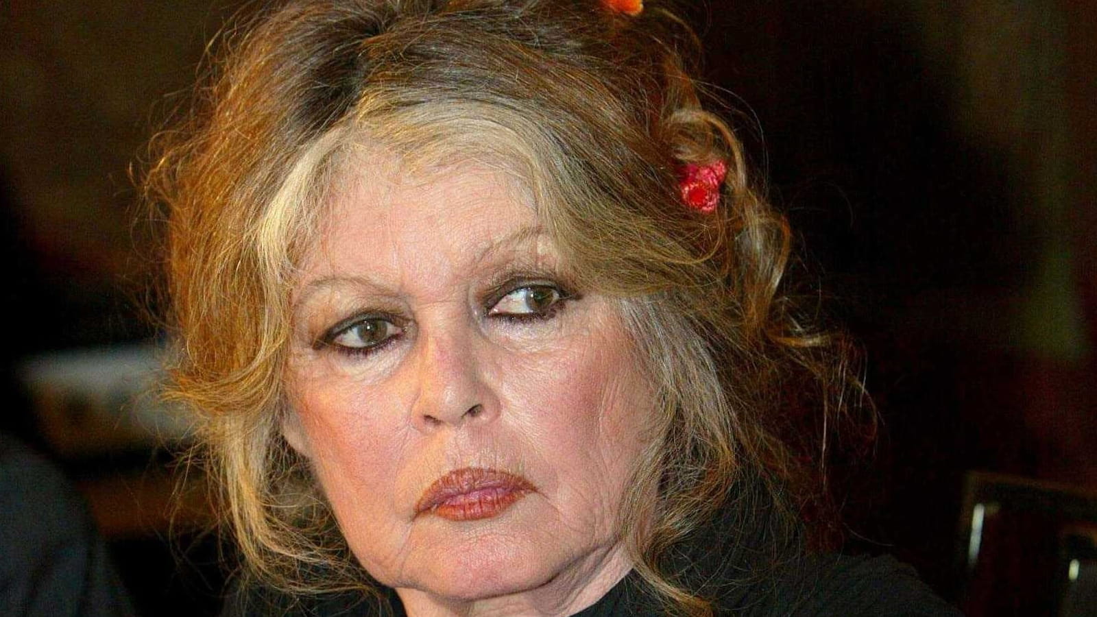 Brigitte Bardot