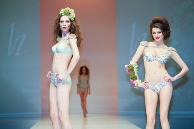 N&eacute;o-sylphides