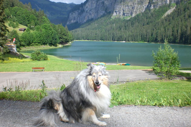 Balades à la montagne