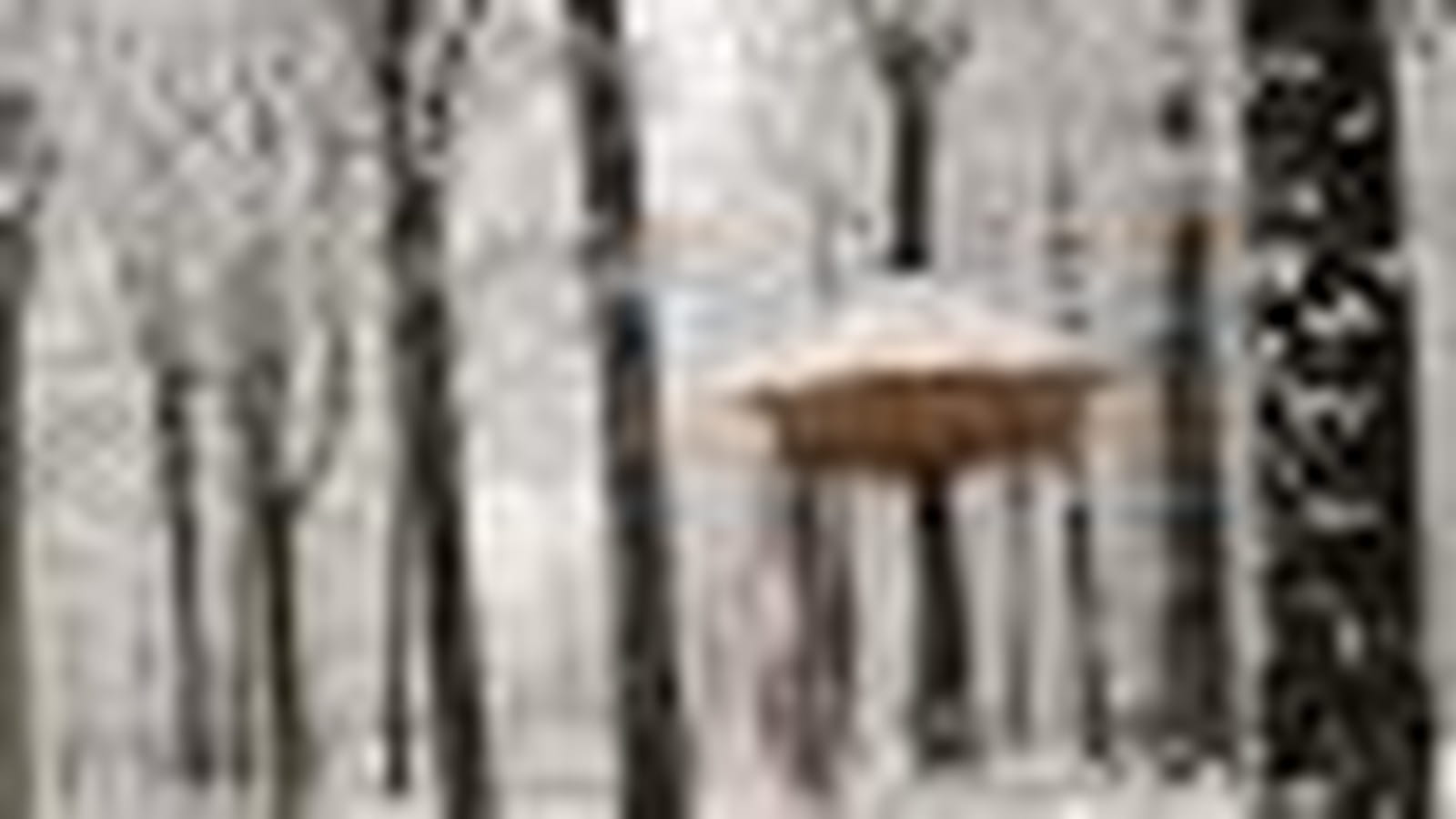 La cabane en l'air