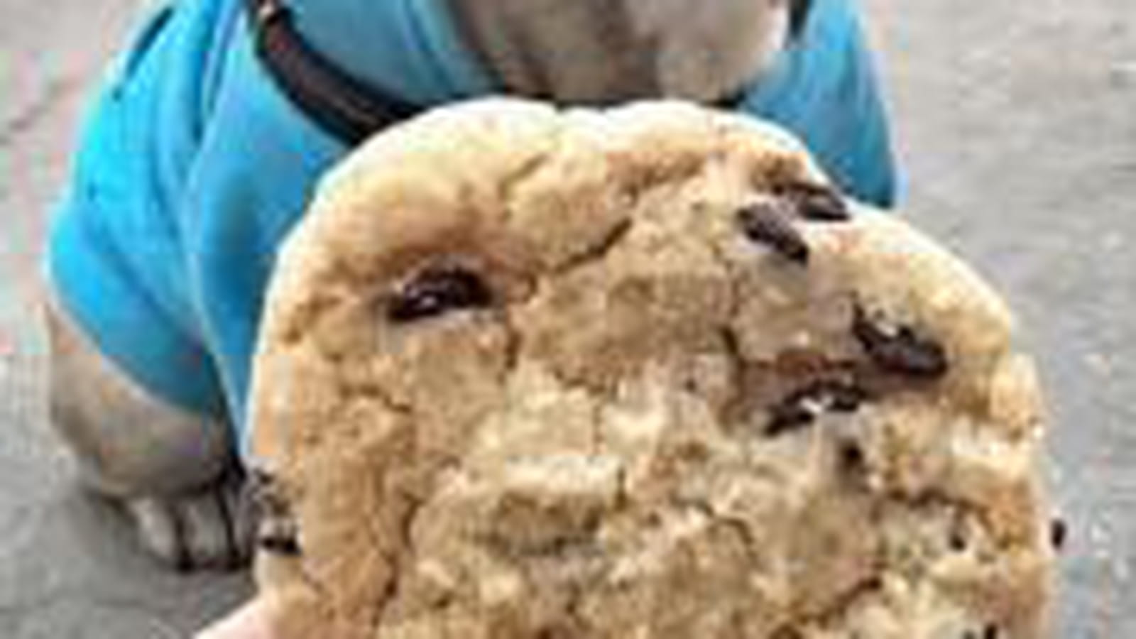 Jean Imbert, un cookie qui a du chien