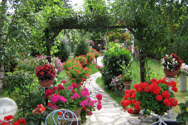 Le jardin tout en couleurs de Jocelyne