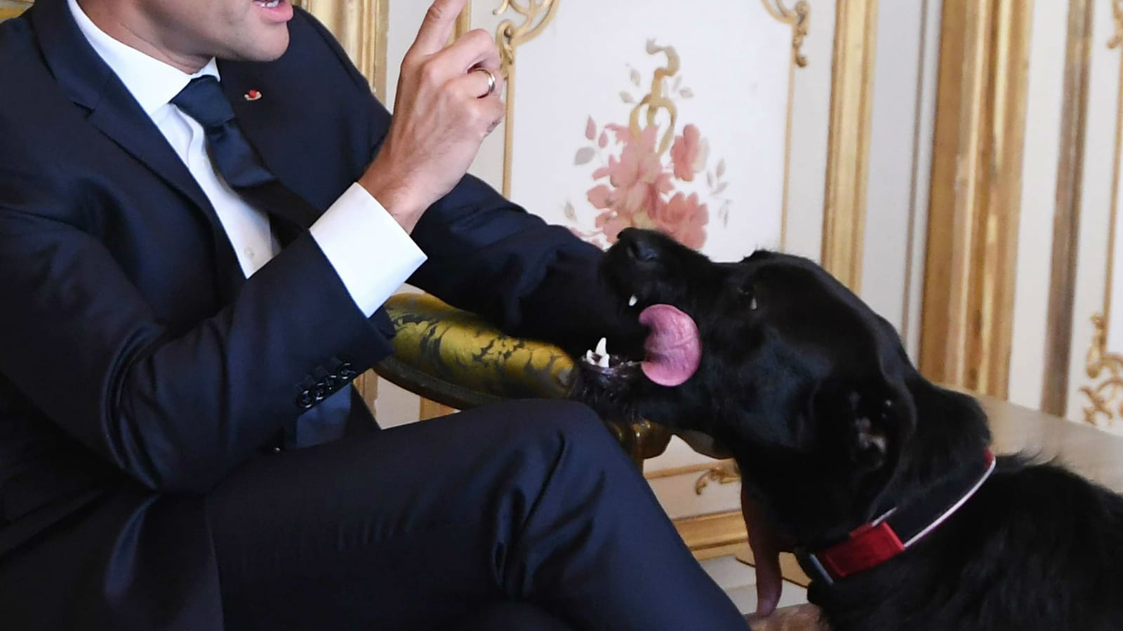 Emmanuel Macron et Nemo