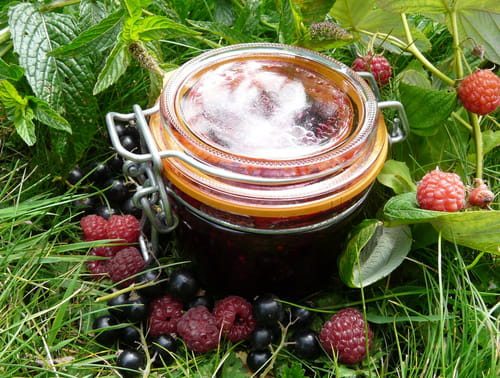 Confiture cassis-framboise à la menthe
