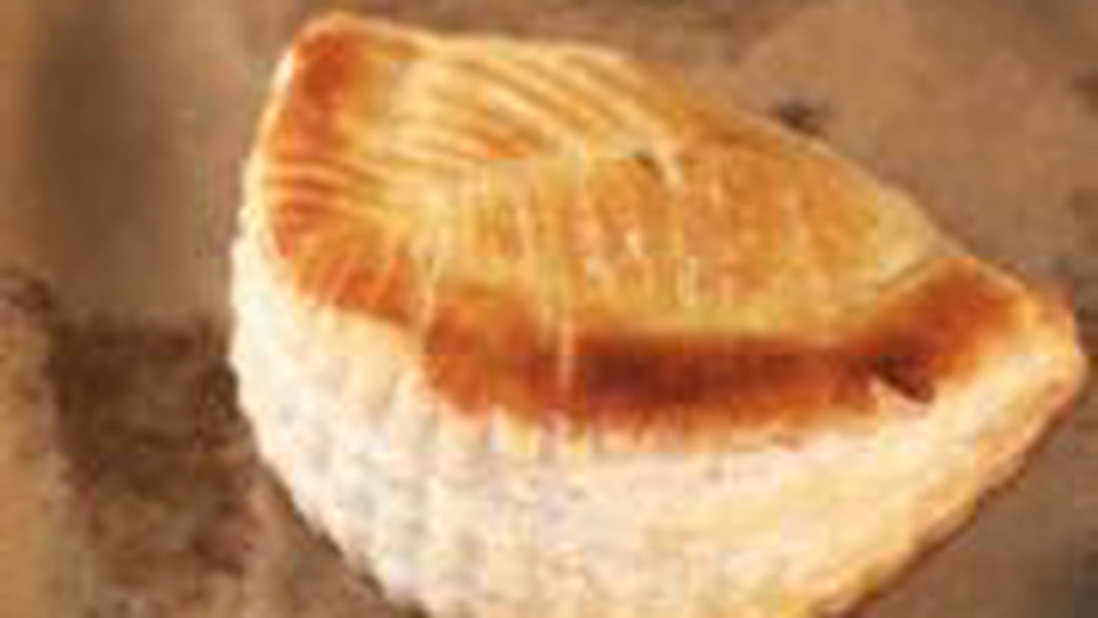 Chaussons pommes et caramel