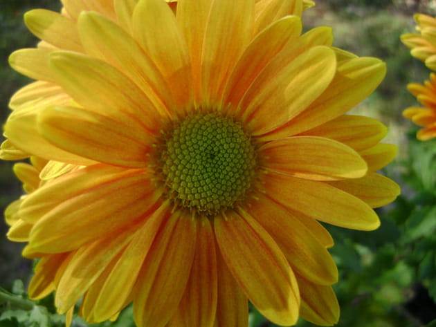 Le souci qui vous fait oublier vos soucis