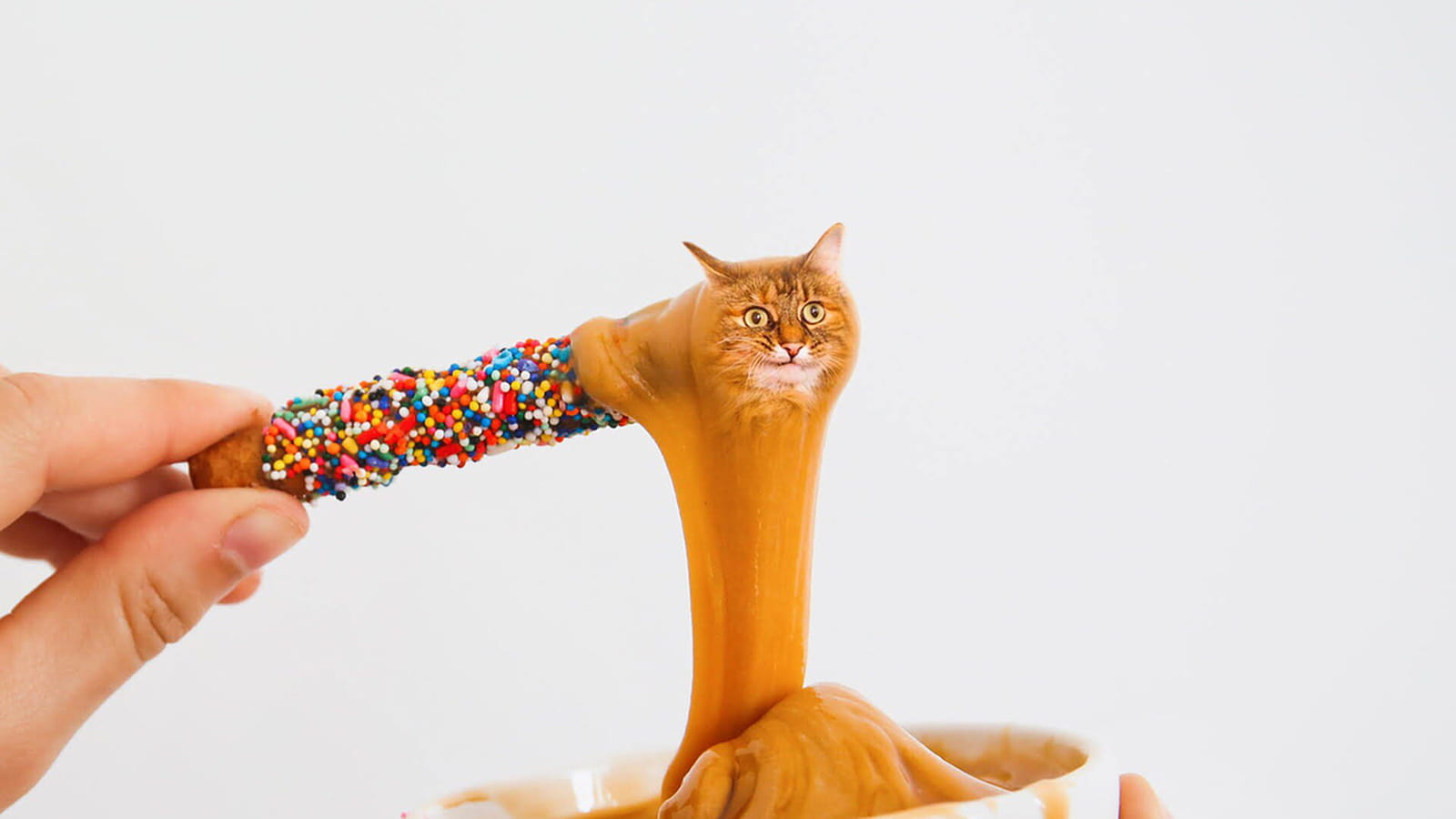 Caramel fondant