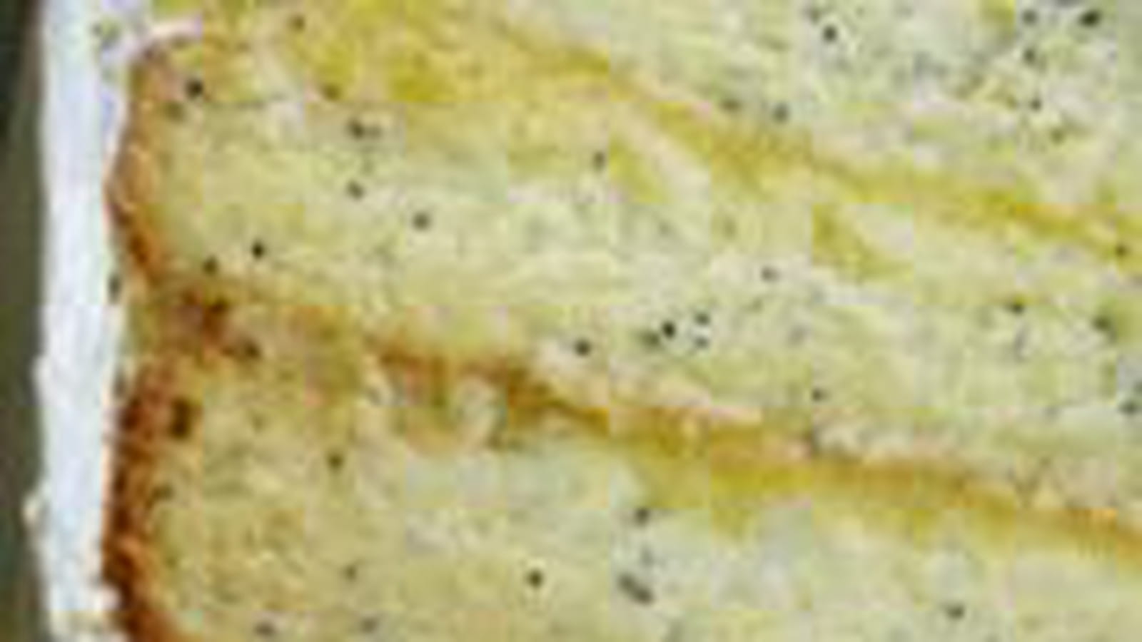 Gâteau citron-pavot