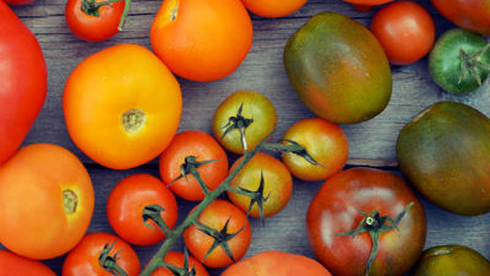 Tomates cerise natures