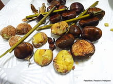 Velouté de châtaigne, noisettes et curcuma : Etape 2