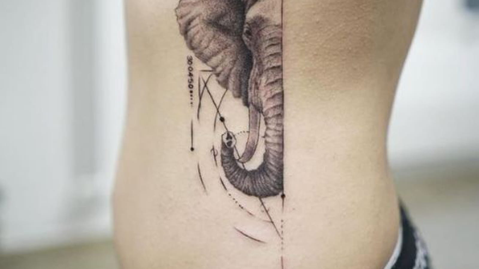 Demi tête d'éléphant sur le flanc