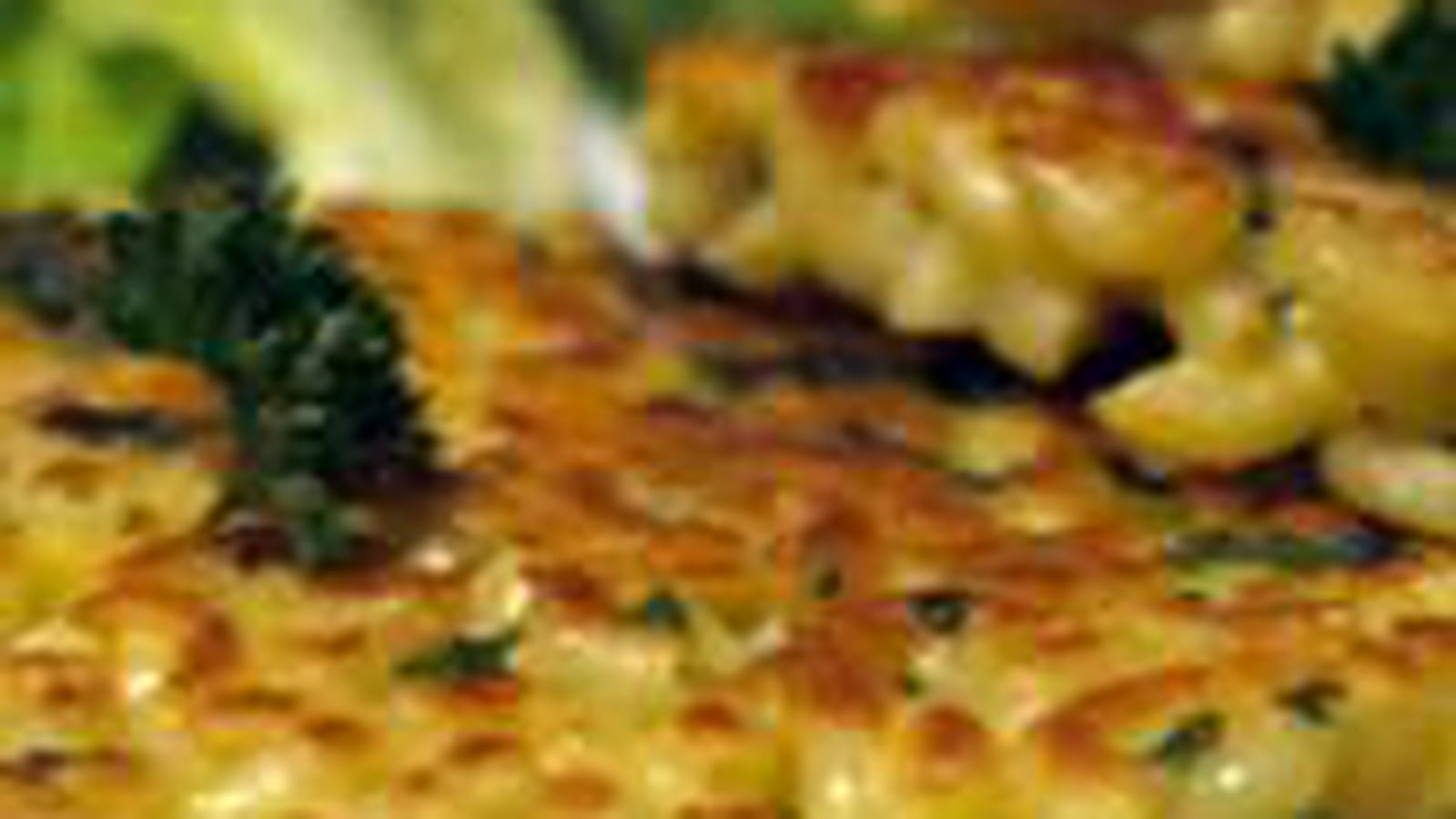 Galettes de coquillettes