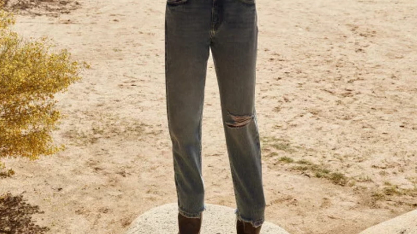 Jean Current Elliott