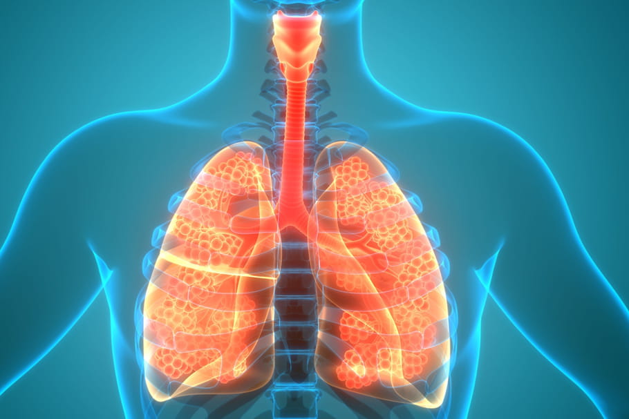 Cancer de la trachée : symptômes, pronostic, que faire ?