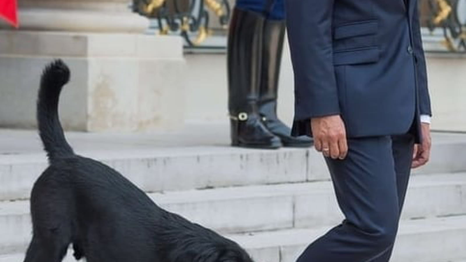 Emmanuel Macron et Nemo