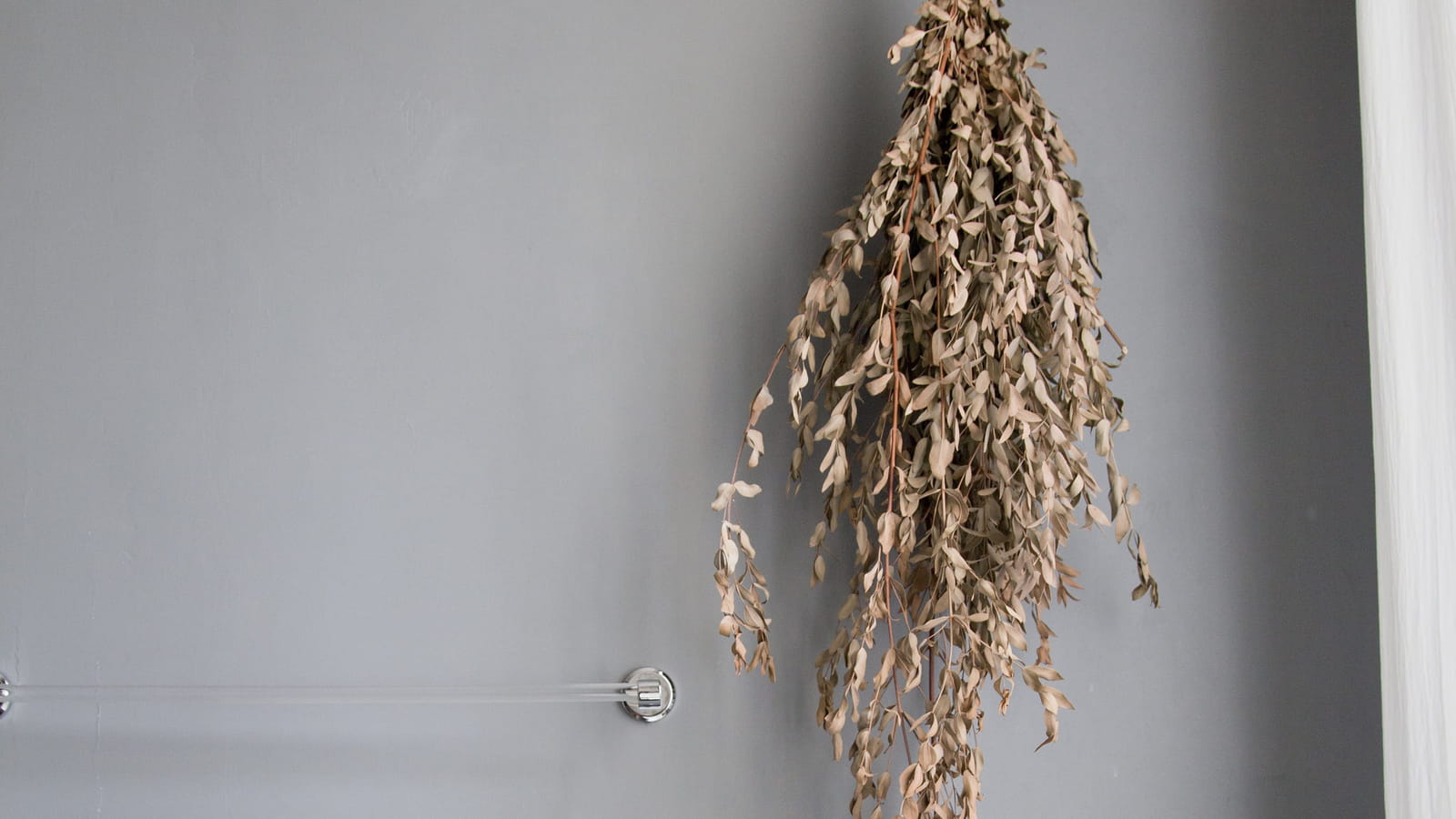 Herbes sèches 