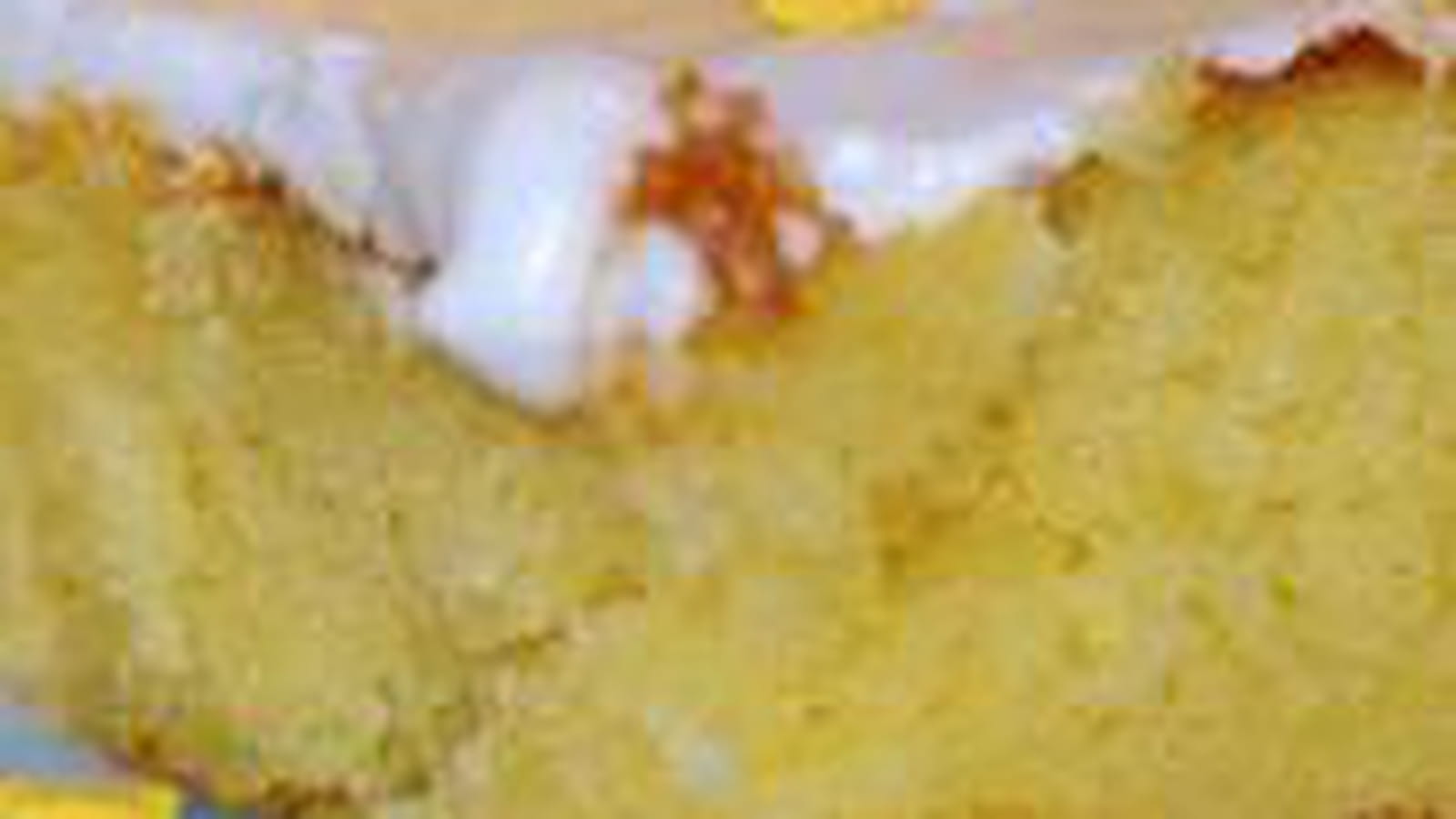 Carrés moelleux au citron