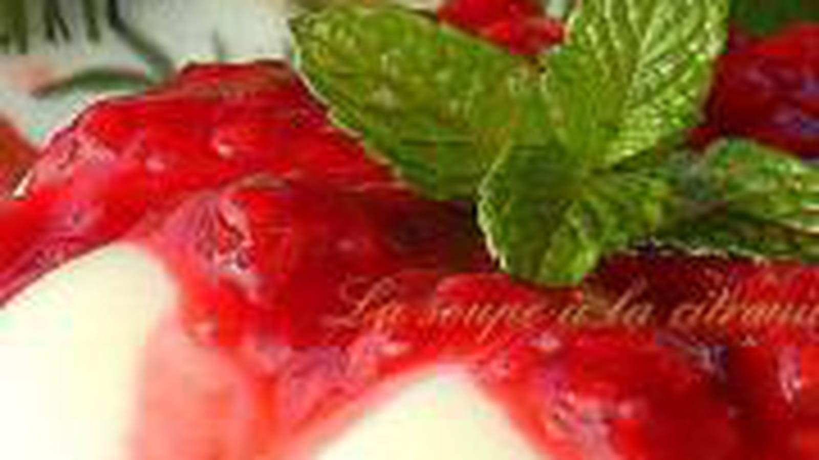 Pannacotta chocolat blanc