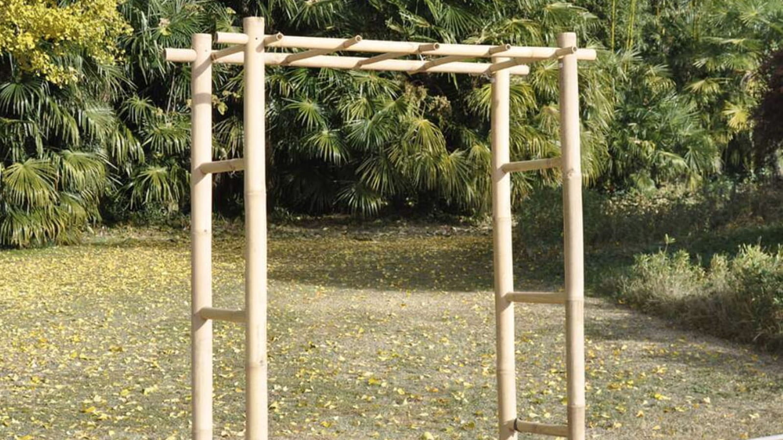 Arche de jardin en bambou