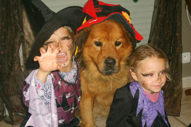 Sorcières et monstre poilu