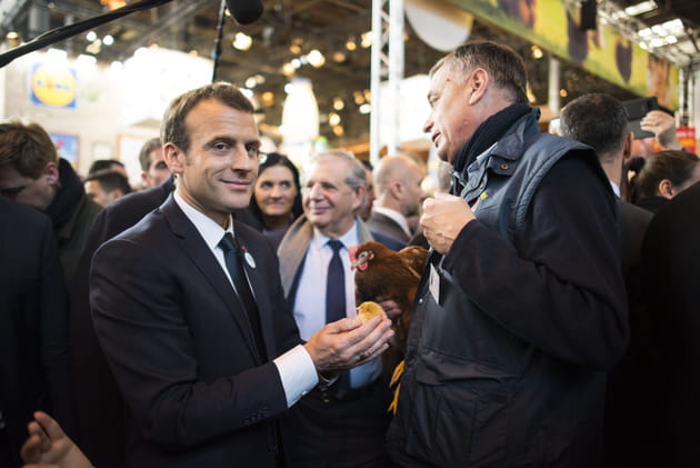 ...ou papa poussin ?