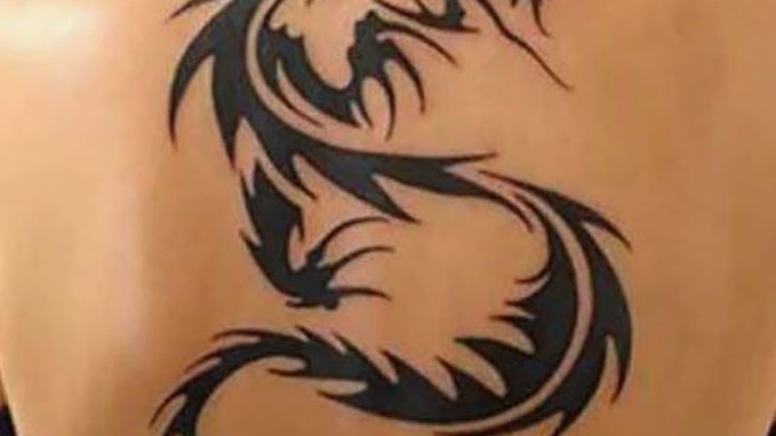 Dragon tribal dans le dos