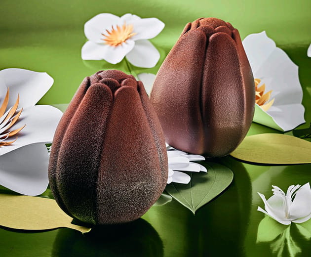 Tulipes pralin&eacute;es - Len&ocirc;tre