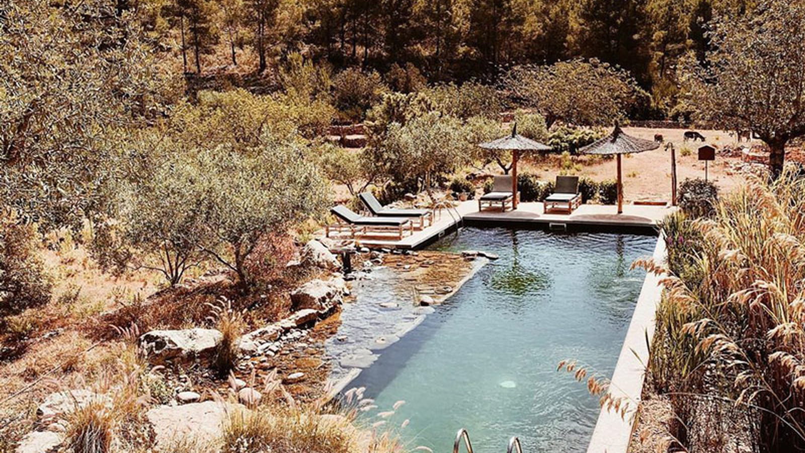 Agrotourisme à Ibiza