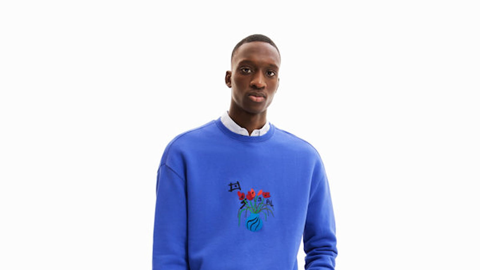 Sweatshirt Desigual