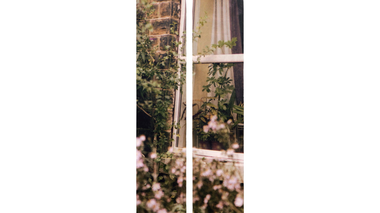 Chaussettes à photo 