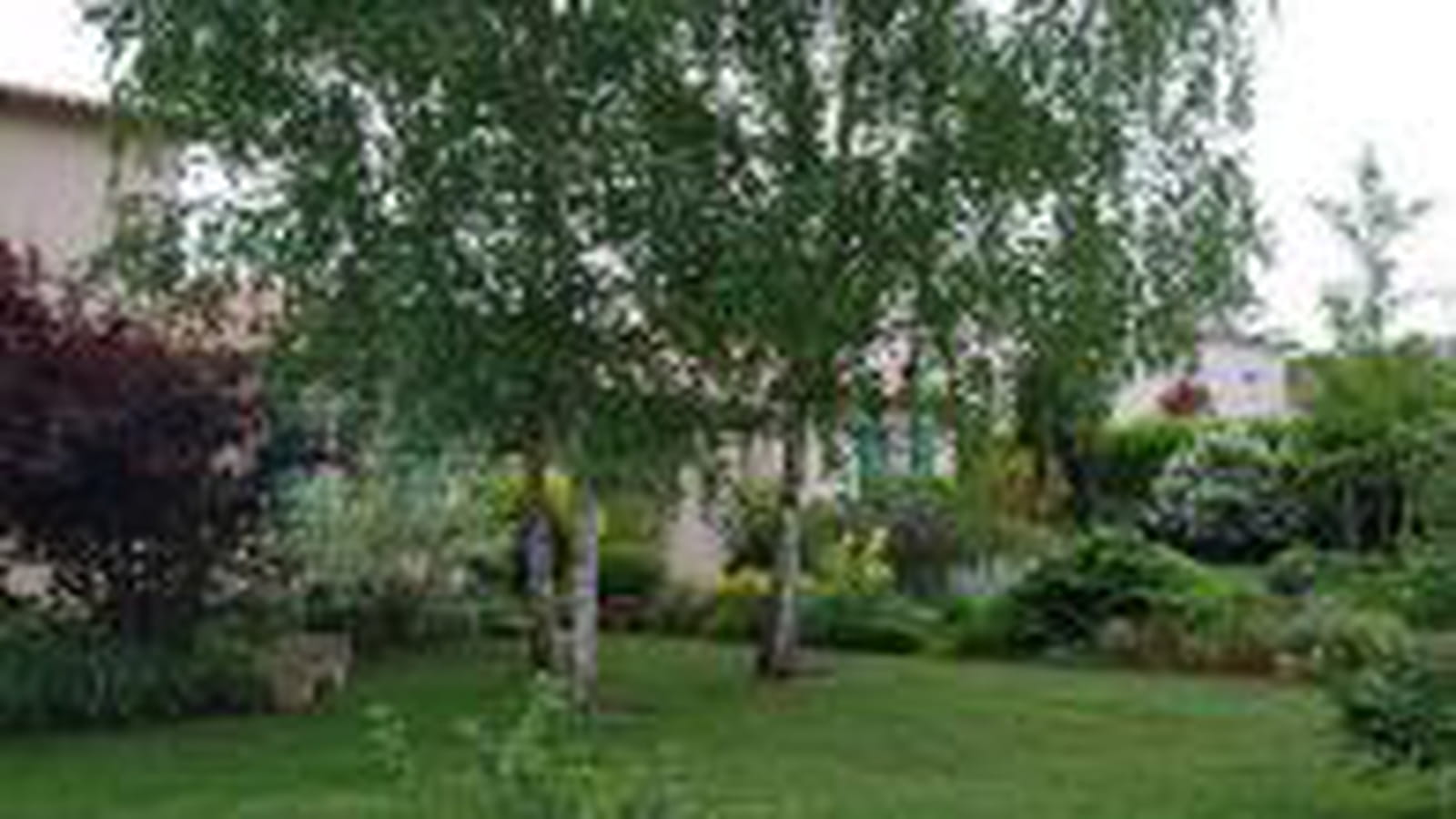Arbres et arbustes