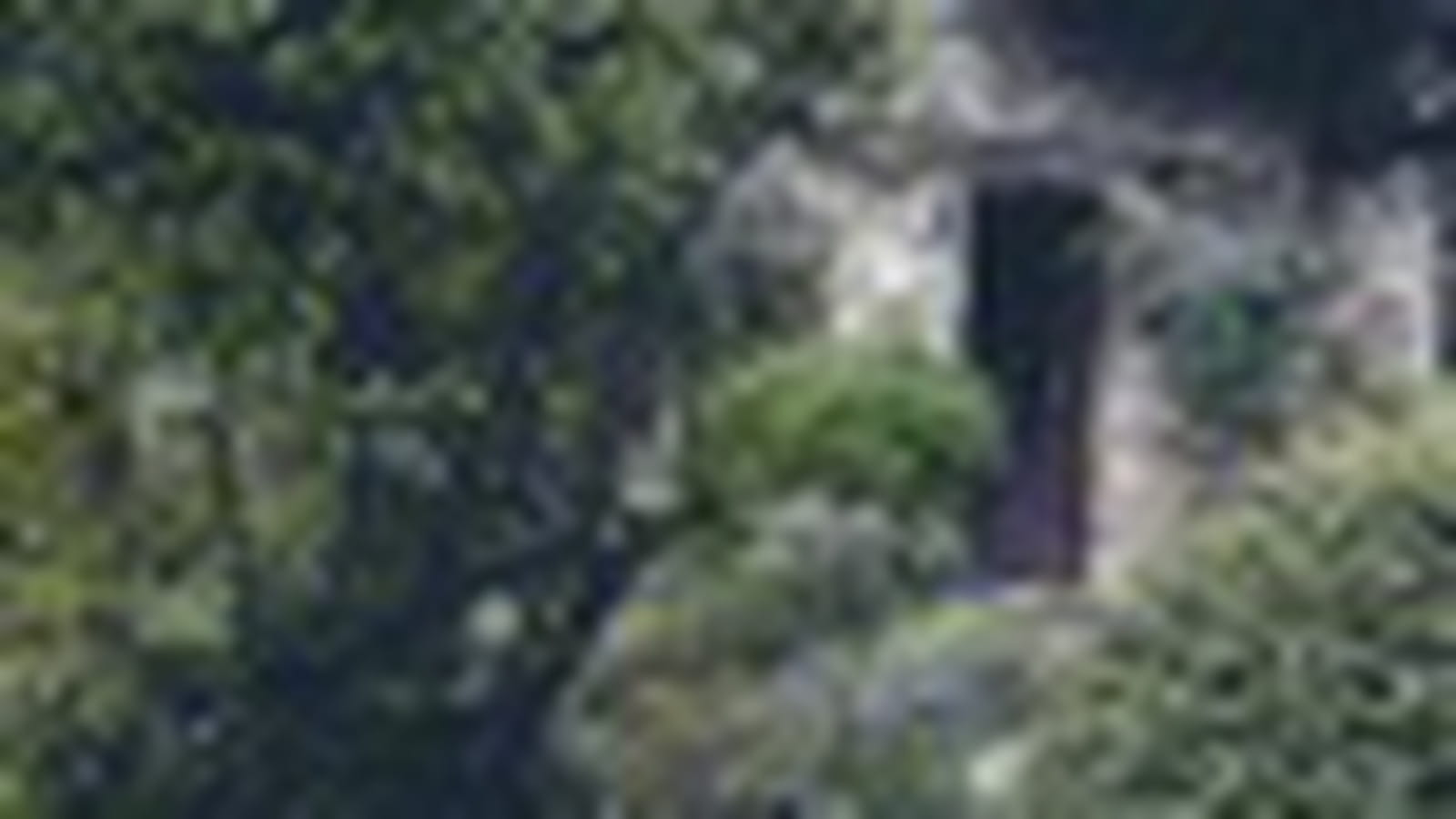 Cabane