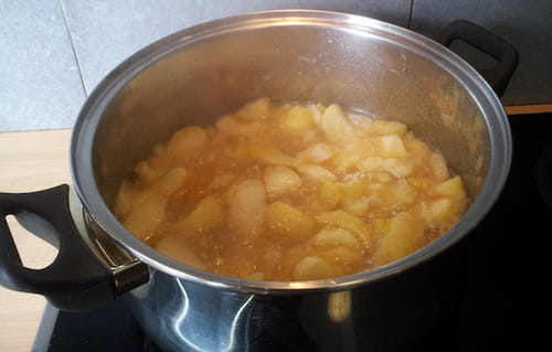 Compote de pomme Madininina