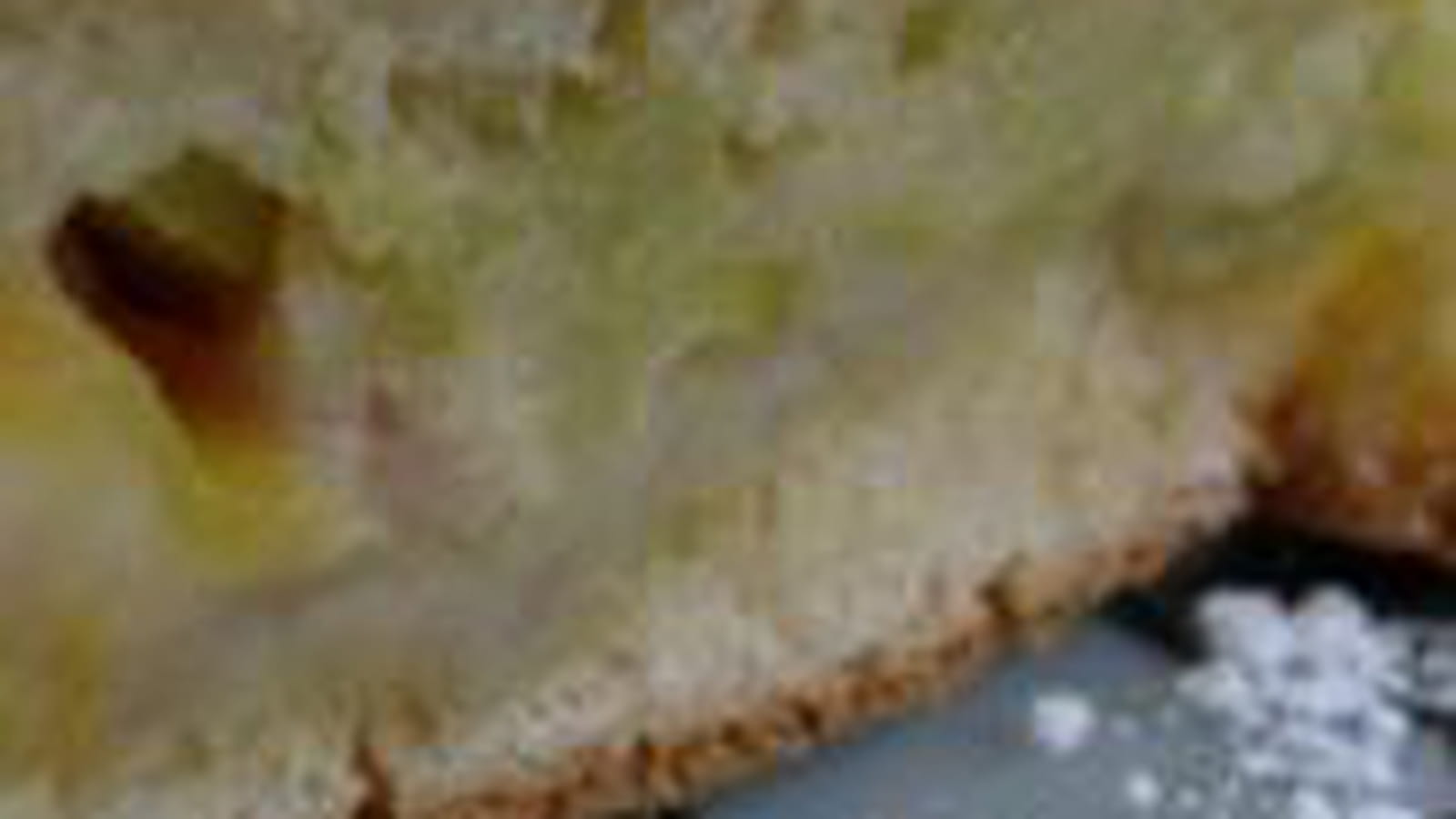 Gâteau rhubarbe pêche poire