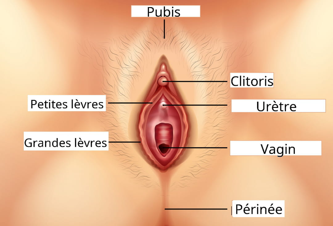 Le plus grand clitoris
