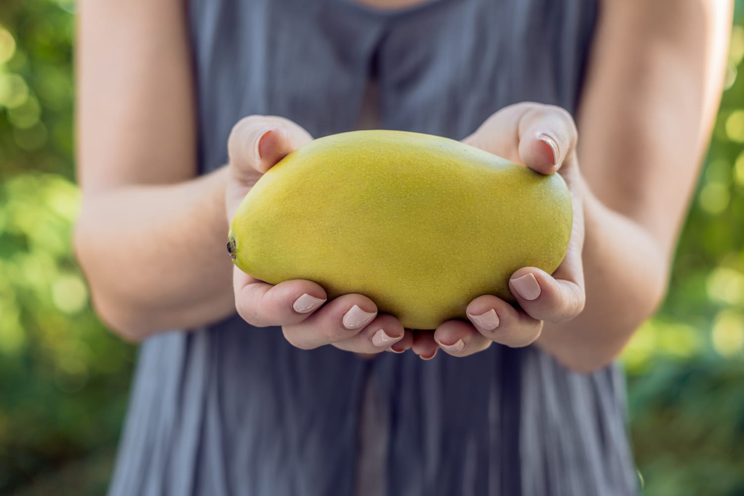 "La forme d'une mangue et la saveur de la banane" - tous les Américains raffolent de ce fruit méconnu