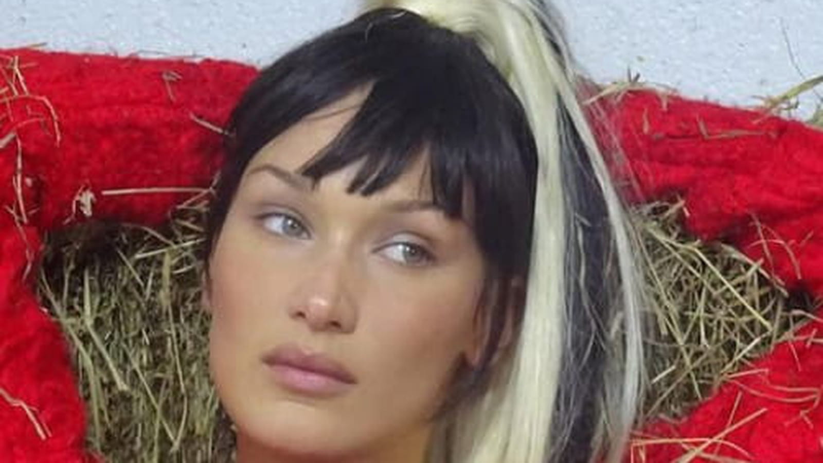 @bellahadid