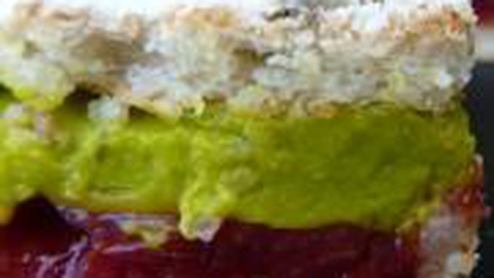 Gâteau cerise-pistache
