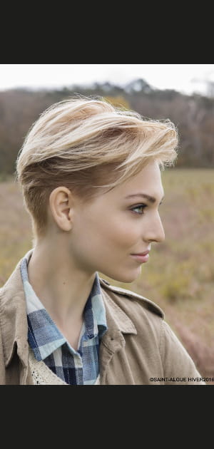 Le court g&eacute;ometrique de Saint Algue