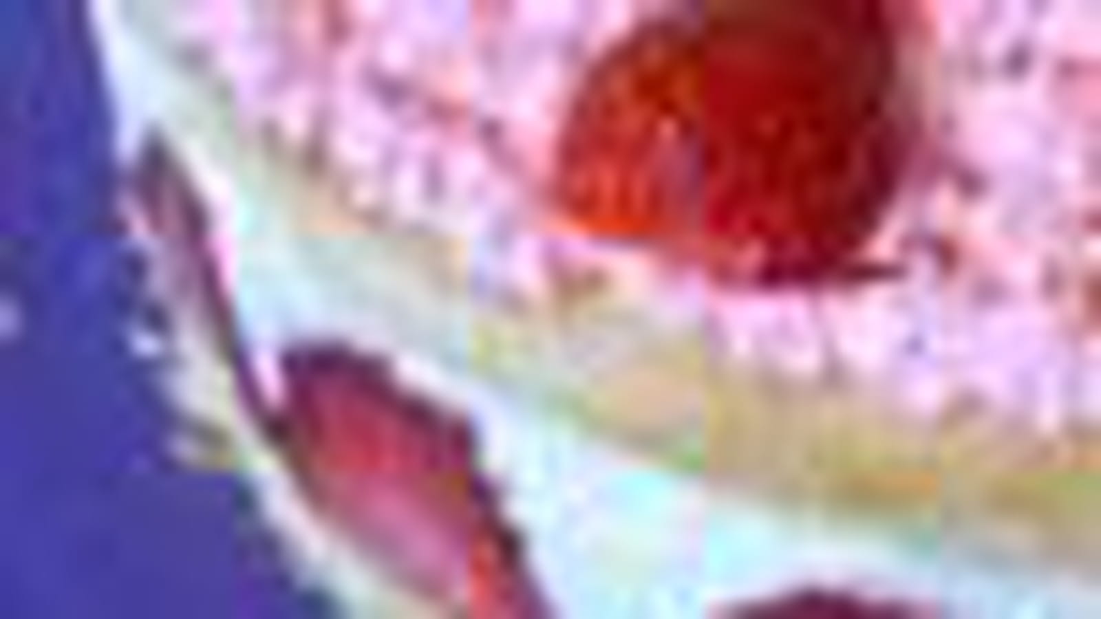Fraisier