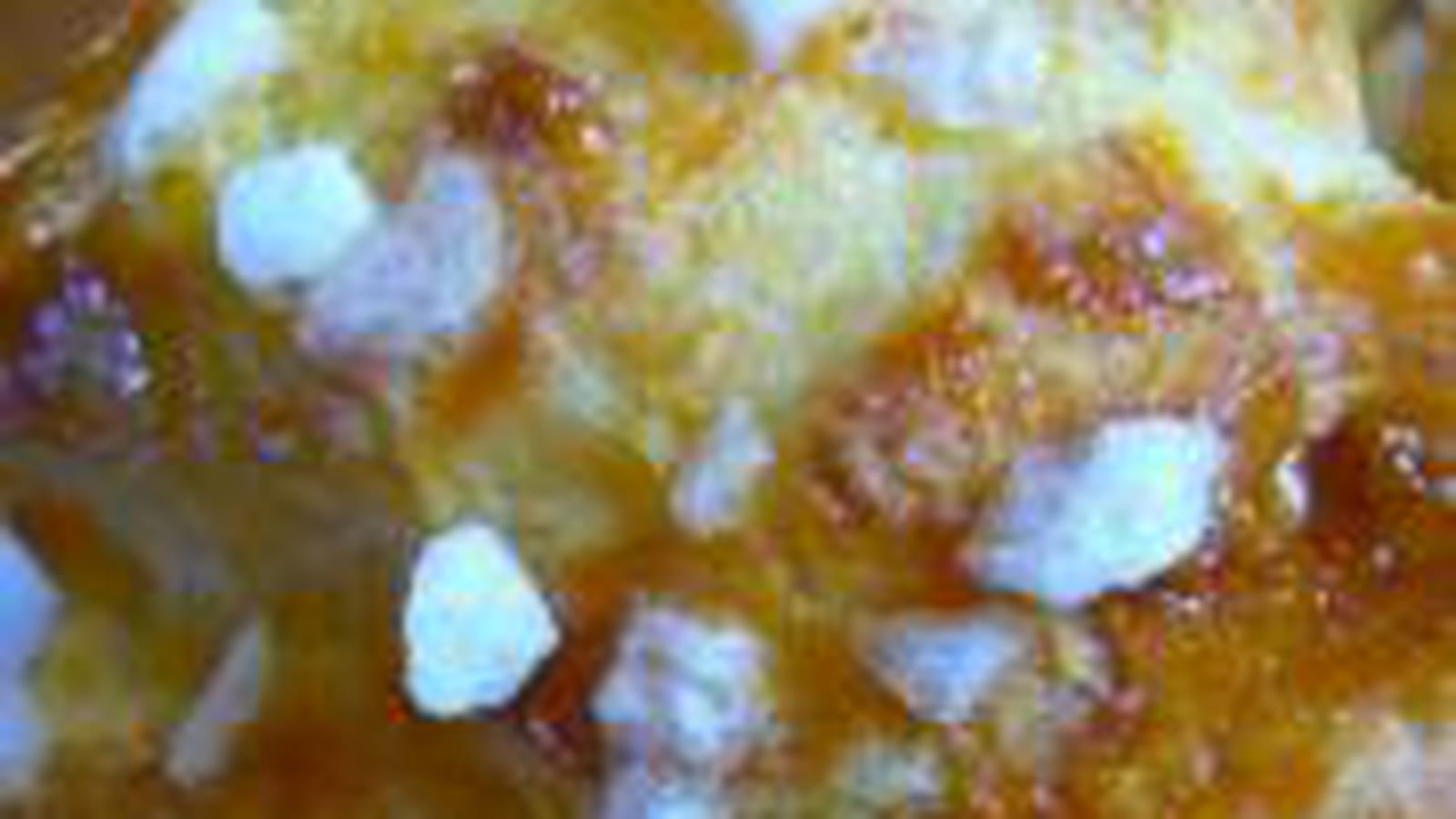 Chouquettes