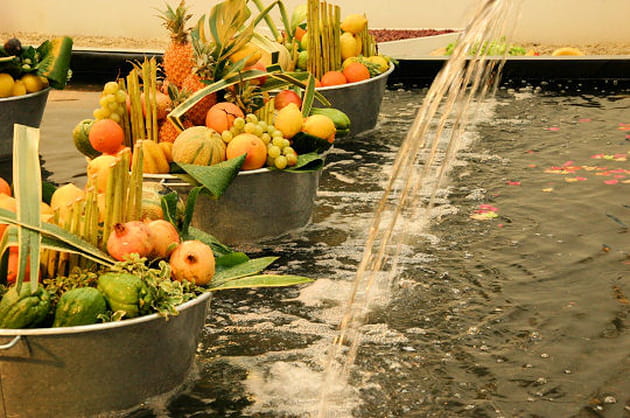 Le bassin des miracles