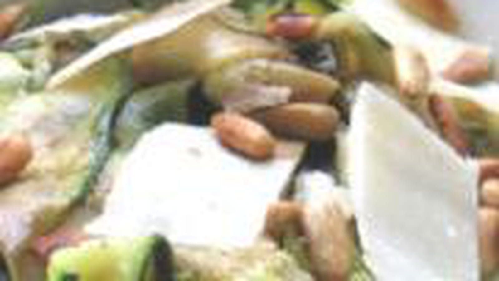 Salade de courgettes aux pignons