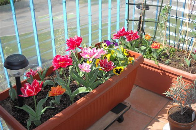 De pimpantes jardini&egrave;res