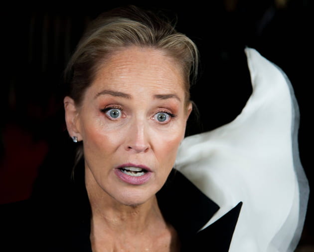 Sharon Stone, interloqu&eacute;e