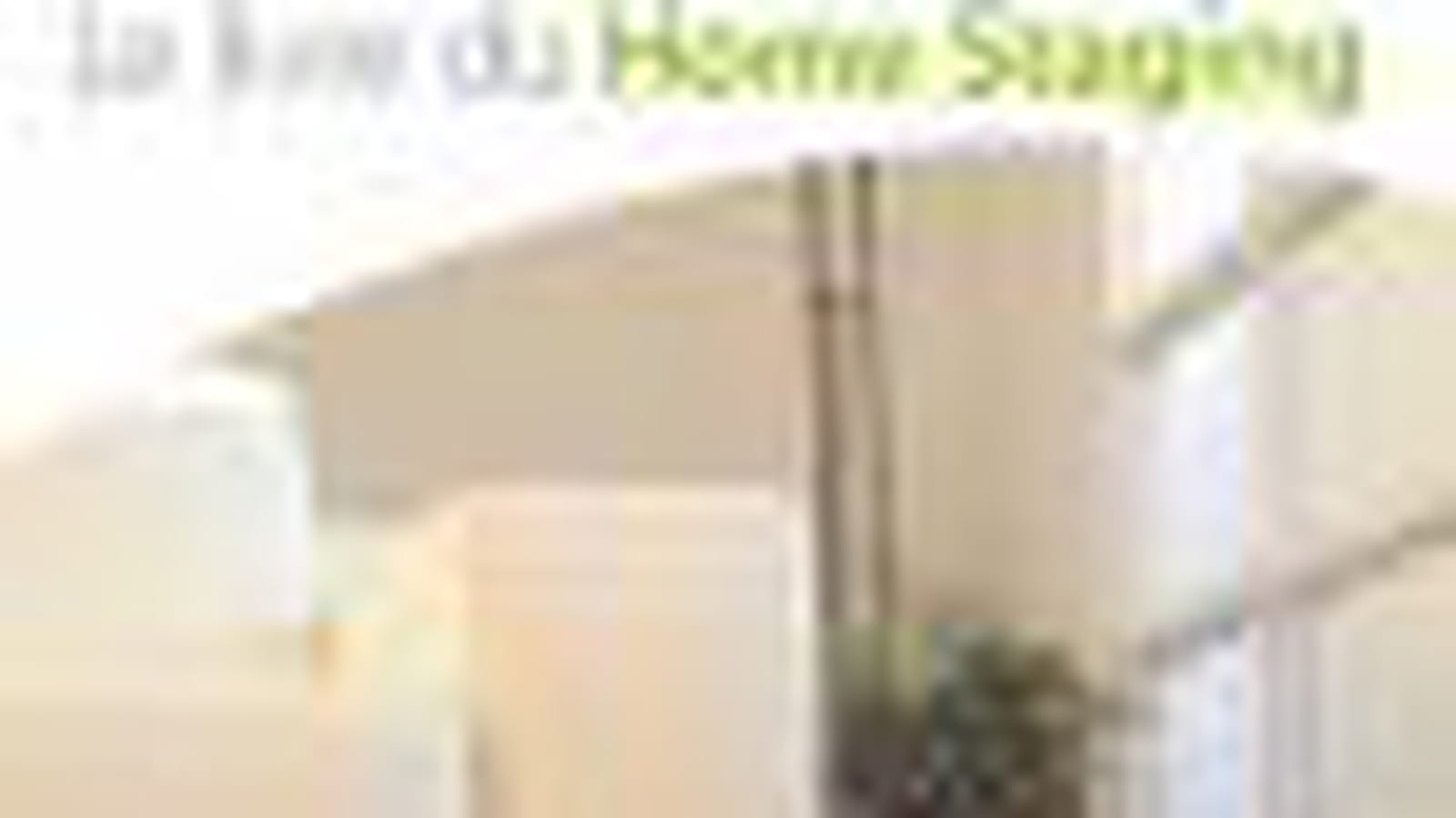 "Le livre du home staging"